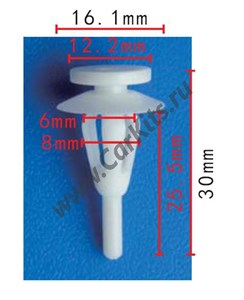 Изображение C819